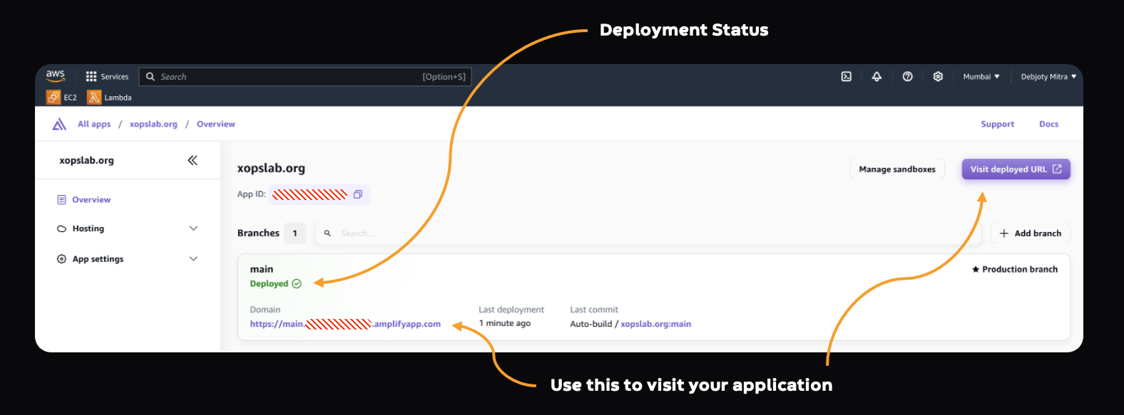 Screenshot: Step 8: Deployment Overview