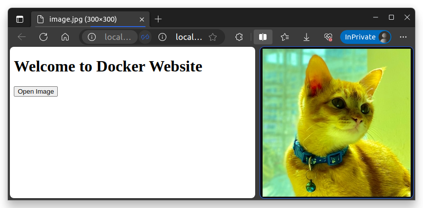 Screenshot: 9.6: Access the Website