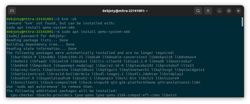 Screenshot: 1.3: Check for KVM Virtualization