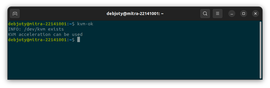 Screenshot: 1.3: Check for KVM Virtualization