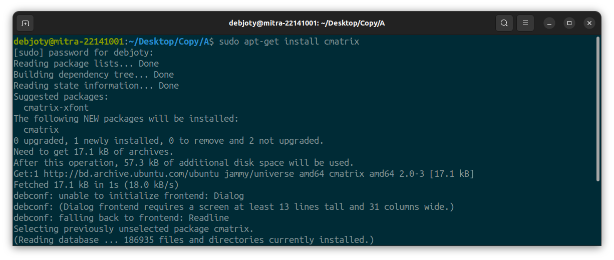 Screenshot: Bonus. cmatrix
