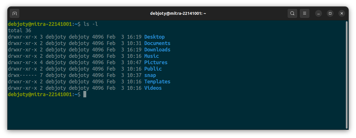 Screenshot: 11. ls