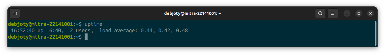 Screenshot: 10. uptime